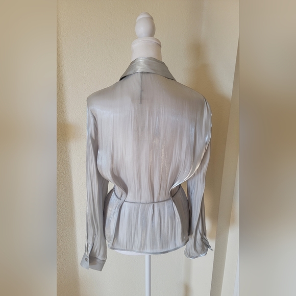 ZARA NWT Silver Liquid Satin Blouse size Large. Metallic Sheer Dressy Top - Picture 5 of 6